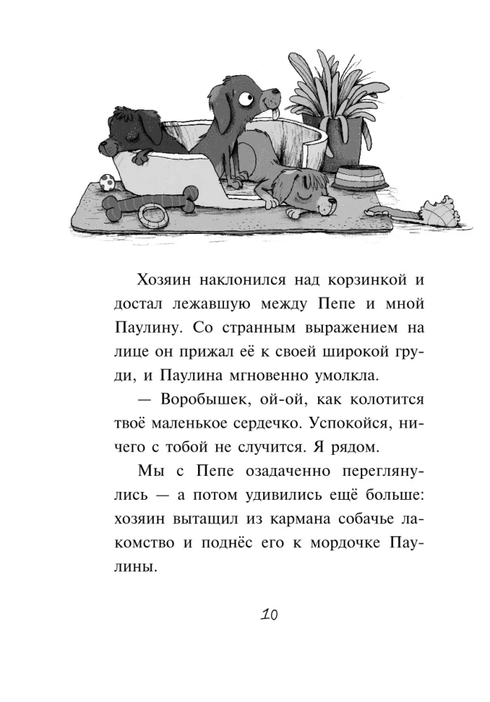 Первое дело таксы