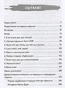 Тупой панк-рок для интеллектуалов