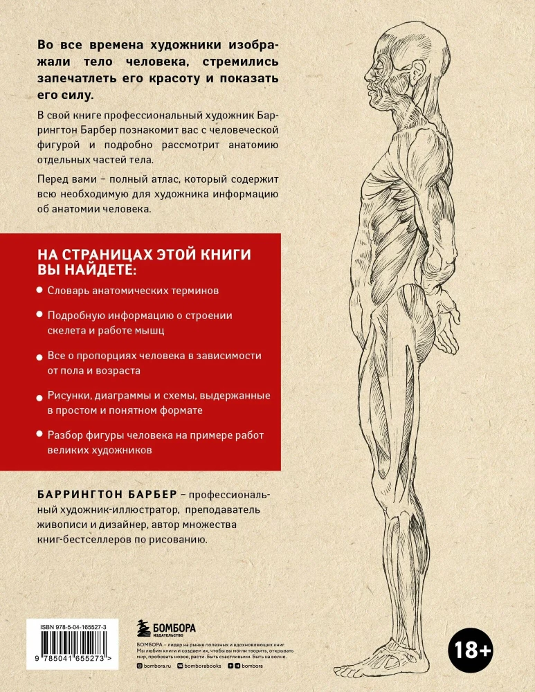 Анатомия для художников. Практический курс