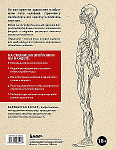 Анатомия для художников. Практический курс