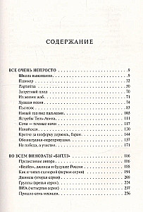 История рока. Во всем виноваты Битлз