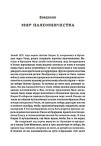 Pasaules reliģijas un kults: galvenās svētnīcas. No svētceļojuma līdz reliģiskajam tūrismam