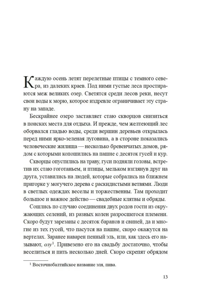 Zemes rūnas