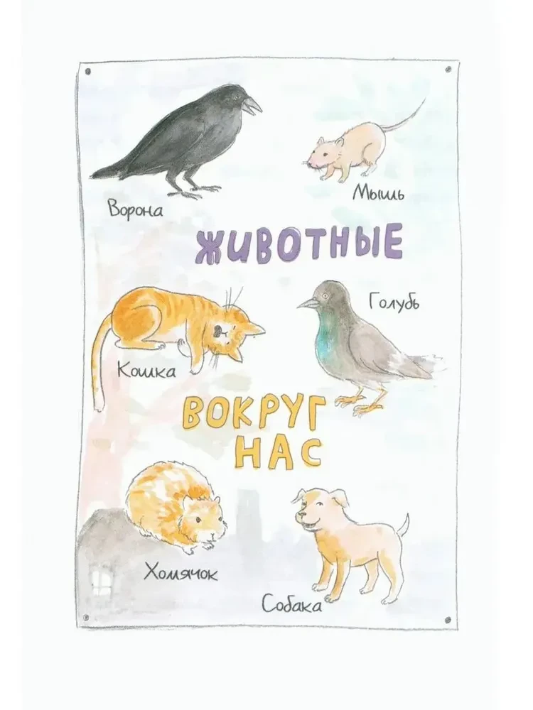 Kur dzīvo podrostiķis?