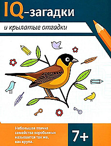 IQ-загадки и крылатые отгадки