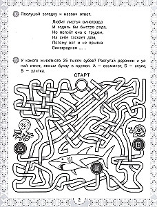 IQ-загадки и познавательные отгадки