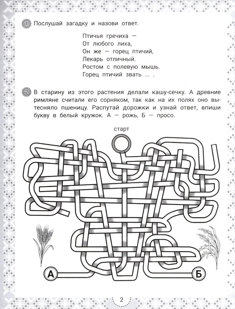 IQ-zinātnes un ziedu atminējumi