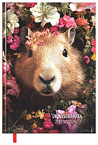 Дневник с датами 2025/26 (ассорти)