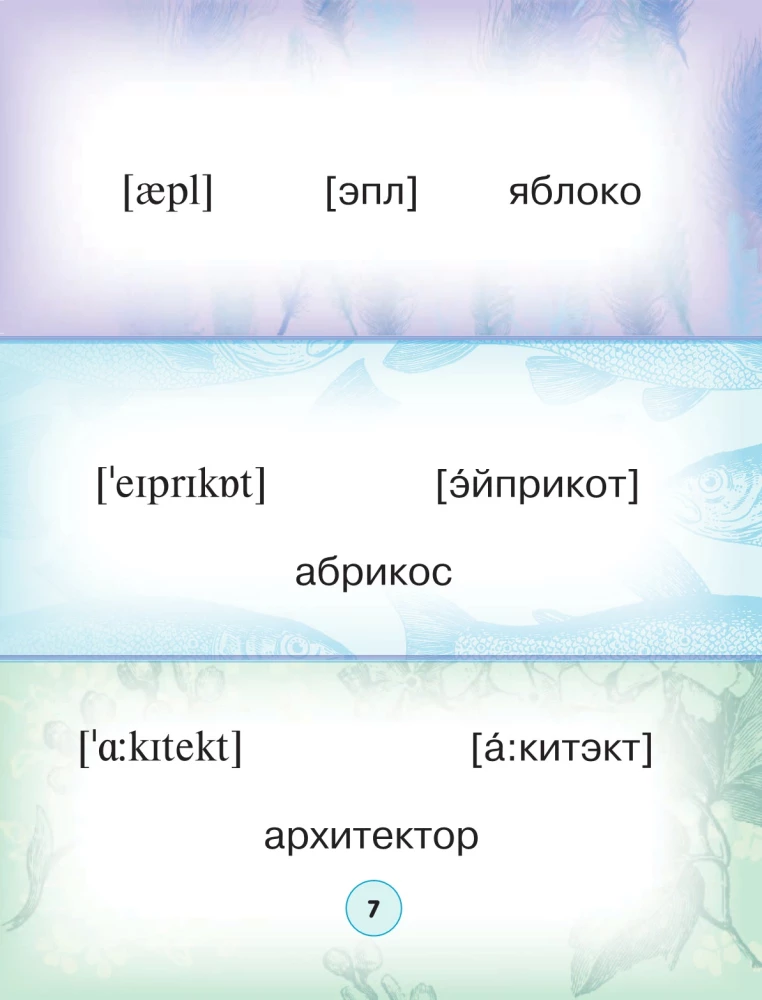 Англо-русский. Русско-английский словарь с произношением в картинках