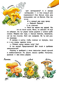 Sēņu vadonis