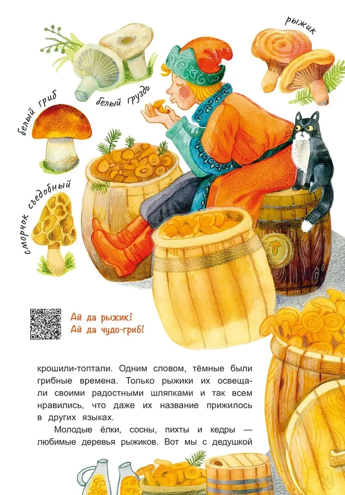 Sēņu vadonis