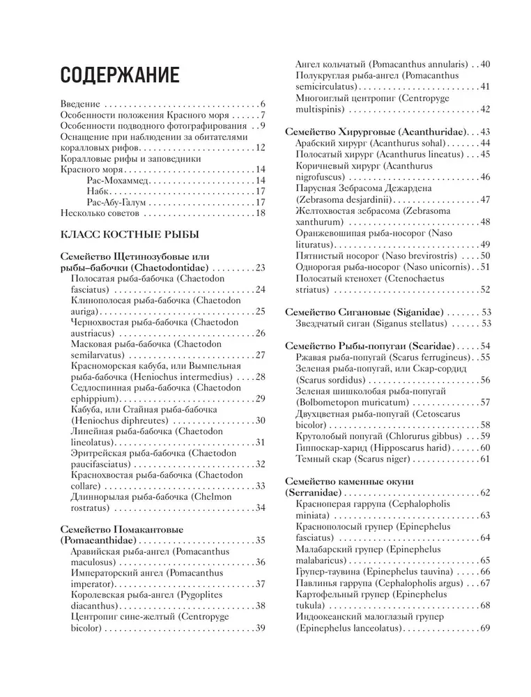 Рыбы коралловых рифов
