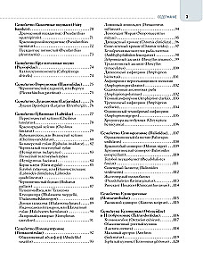 Рыбы коралловых рифов