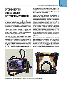 Рыбы коралловых рифов