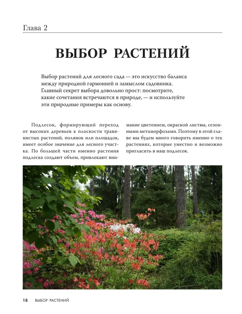 Лесной сад. Ландшафтный дизайн в гармонии с природой
