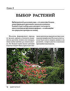 Лесной сад. Ландшафтный дизайн в гармонии с природой