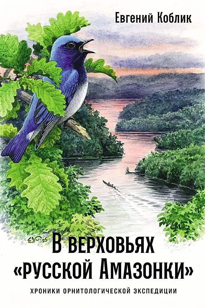 В верховьях русской Амазонки: Хроники орнитологической экспедиции