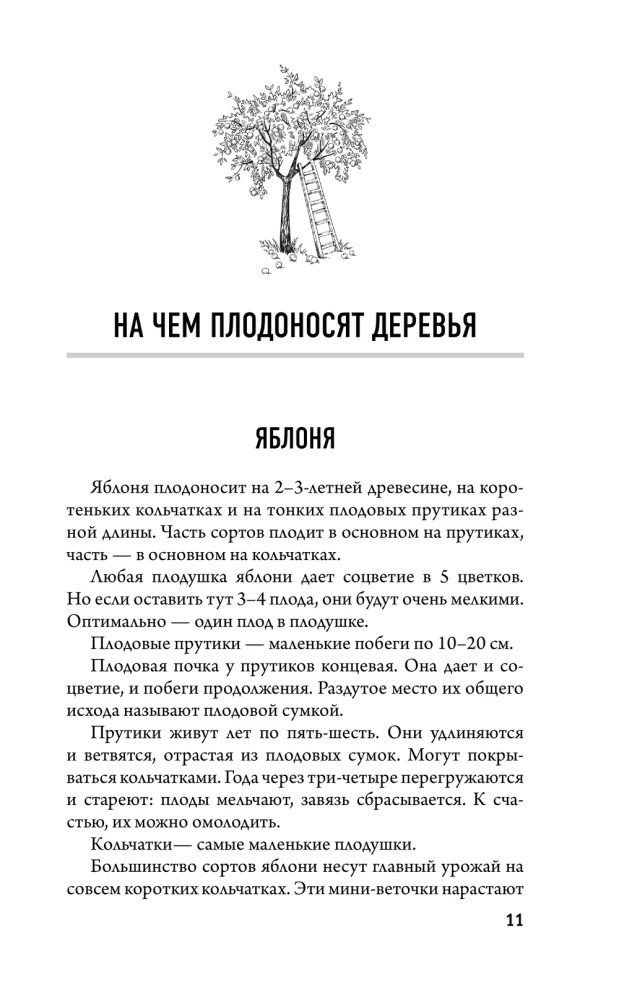 Обрезка и формировка деревьев и кустарников
