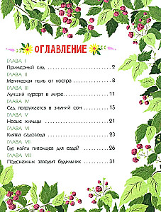 Тайна покинутого сада