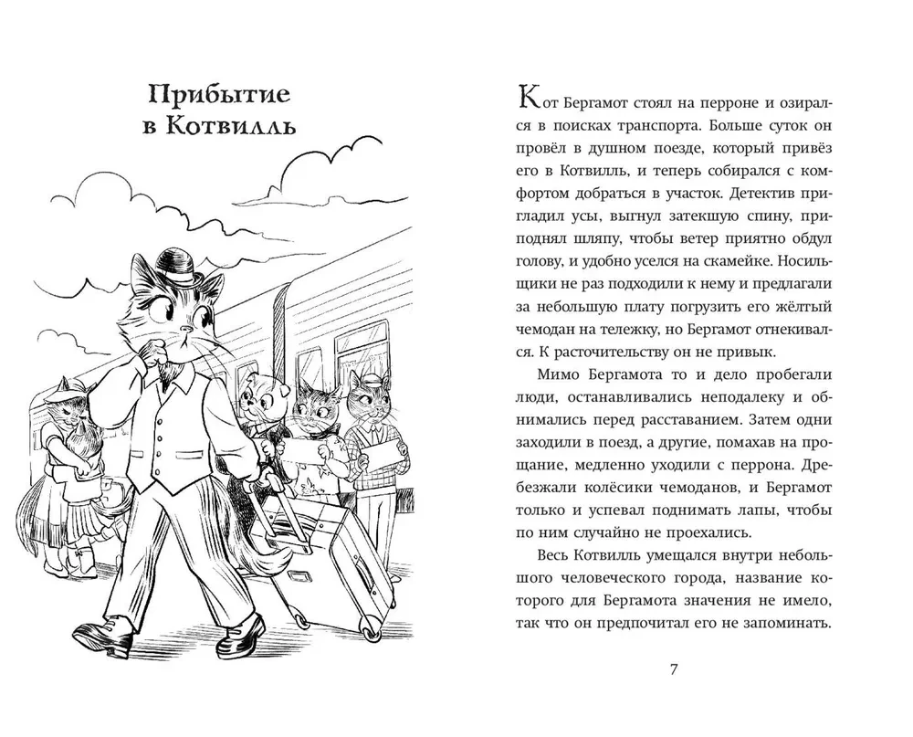 Četri izmeklējumi kaķa Bergamota