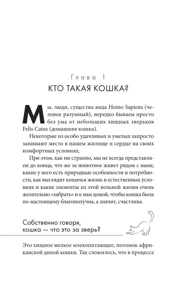 Кошачий закон и порядок. Как найти общий язык с кошкой и не стать жертвой ее капризов