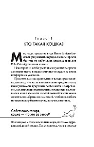 Кошачий закон и порядок. Как найти общий язык с кошкой и не стать жертвой ее капризов