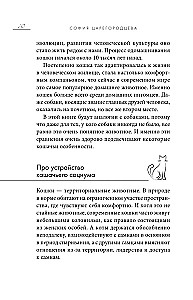 Кошачий закон и порядок. Как найти общий язык с кошкой и не стать жертвой ее капризов