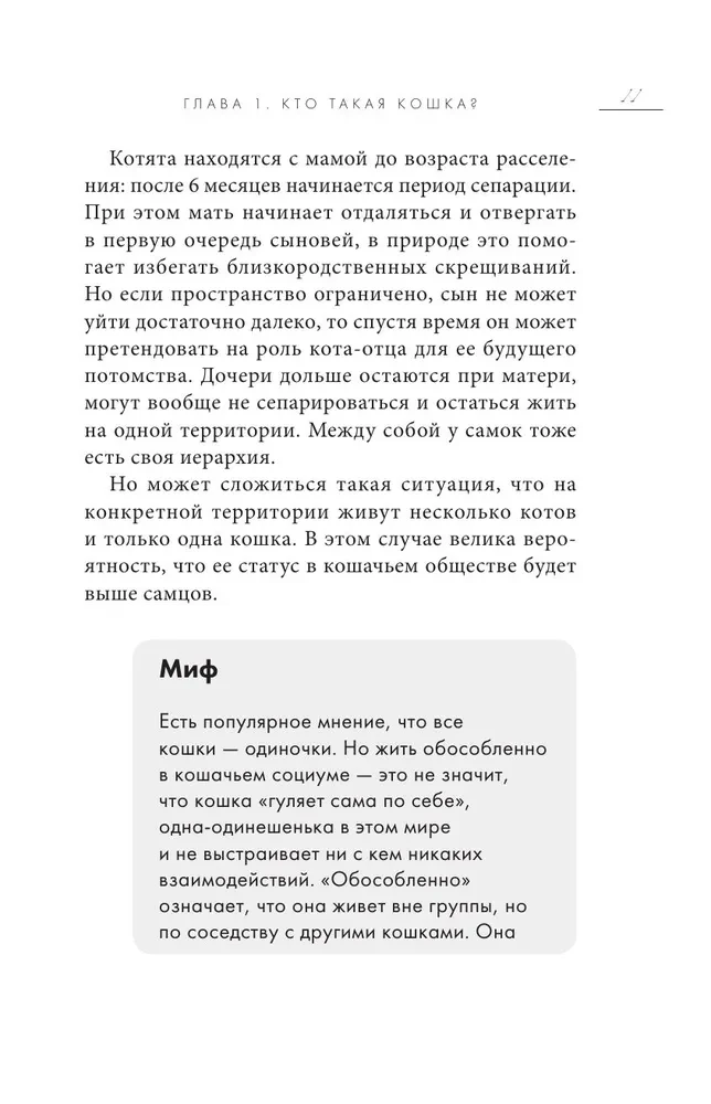 Кошачий закон и порядок. Как найти общий язык с кошкой и не стать жертвой ее капризов