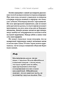 Кошачий закон и порядок. Как найти общий язык с кошкой и не стать жертвой ее капризов