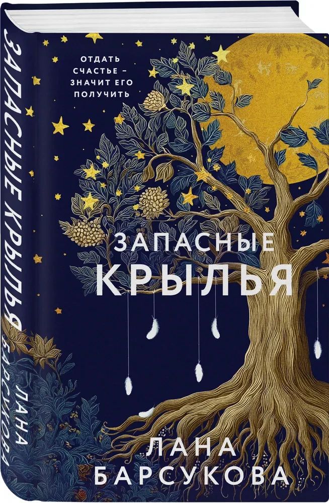 Запасные крылья
