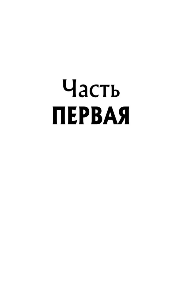 Даниэль Штайн, переводчик