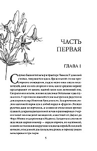 Laiks-negaida