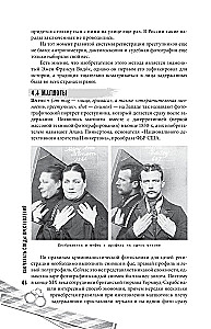 Как читать следы преступлений: о чем не расскажет поп-культура