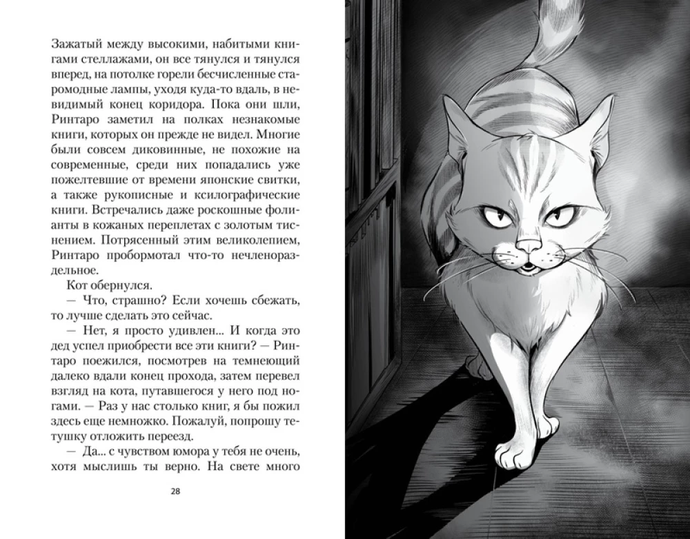 Кот, который любил книги