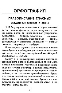 Русский язык: все правила для школьников