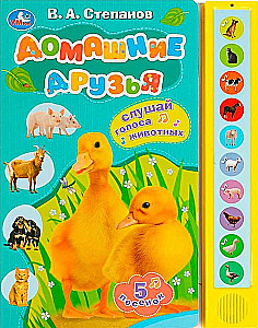 Домашние друзья