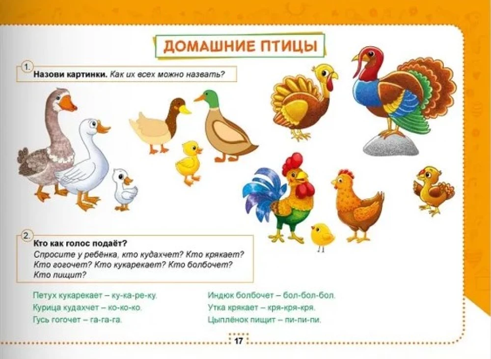 Альбом по развитию речи