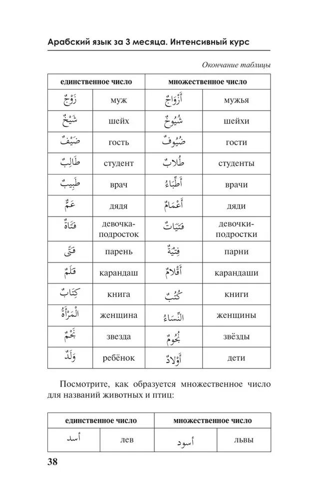 Арабский язык за 3 месяца. Интенсивный курс