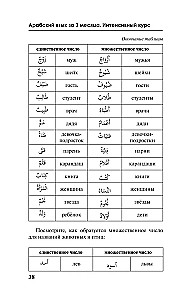 Арабский язык за 3 месяца. Интенсивный курс