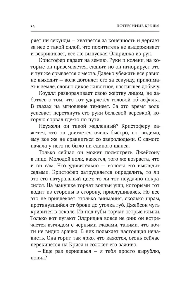 Потерянные крылья