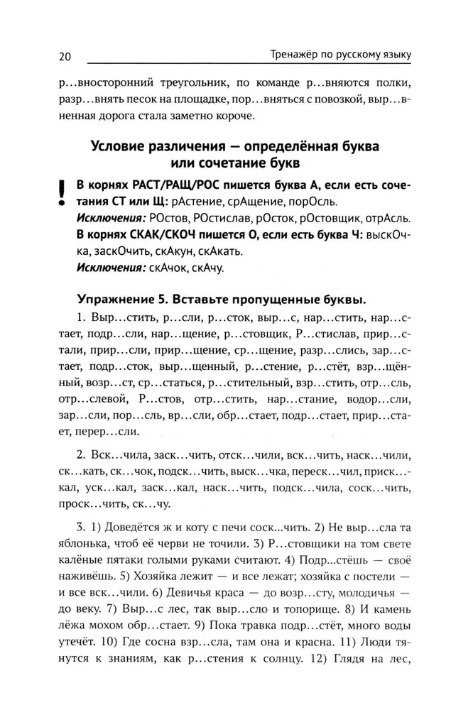 Тренажер по русскому языку. Орфография. Пунктуация. Орфоэпия