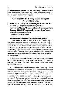 Тренажер по русскому языку. Орфография. Пунктуация. Орфоэпия