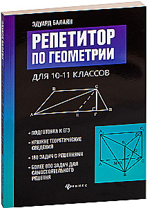 Ģeometrijas pasniedzējs. 10-11 klase