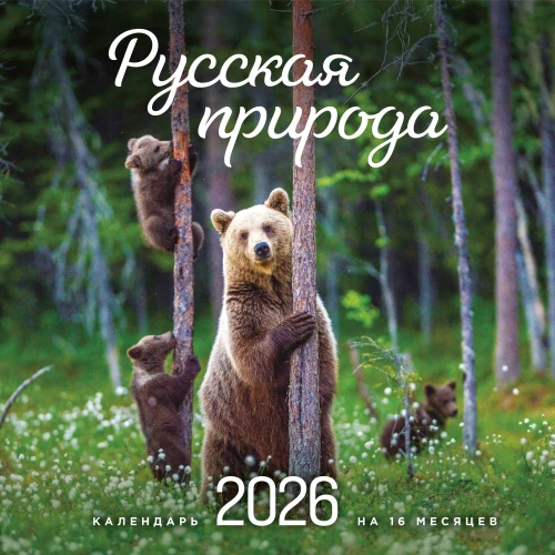 Русская природа. Календарь настенный на 2026 год
