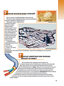 Что? Зачем? Почему? Большая книга вопросов и ответов