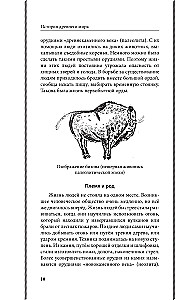 История древнего мира. 5-6 классы