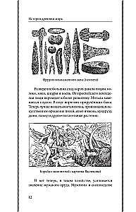 История древнего мира. 5-6 классы