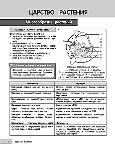 Биология