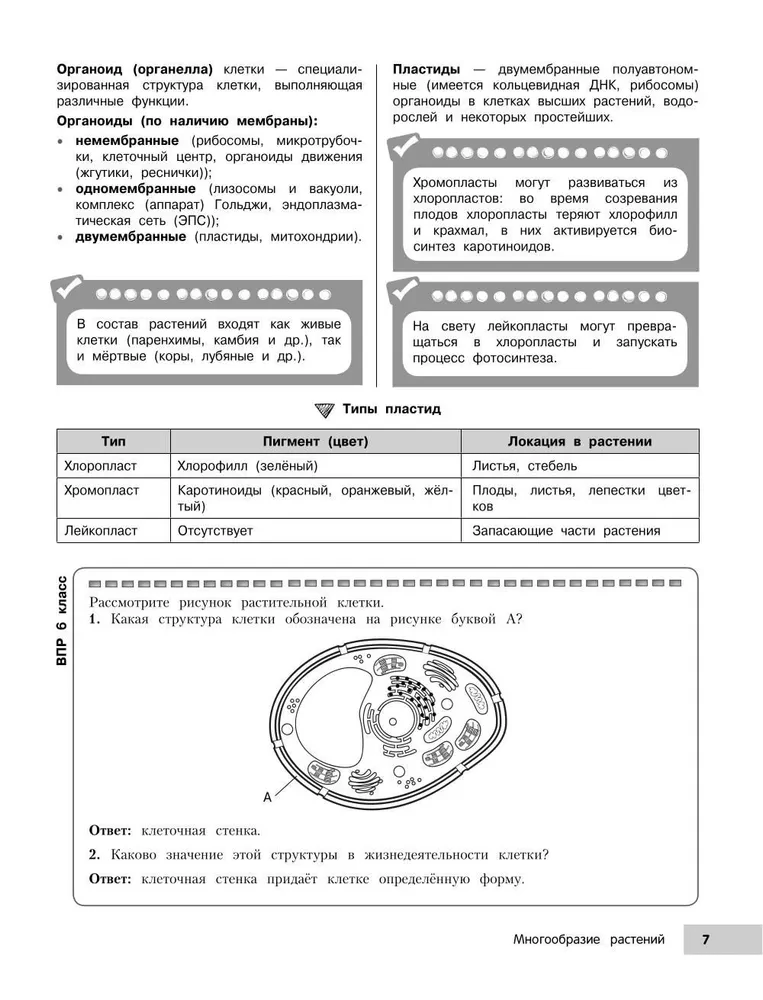 Биология