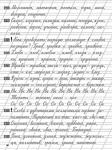 Skaista rakstīšana un gramatiska pareizība. Mācību rakstīšanas
